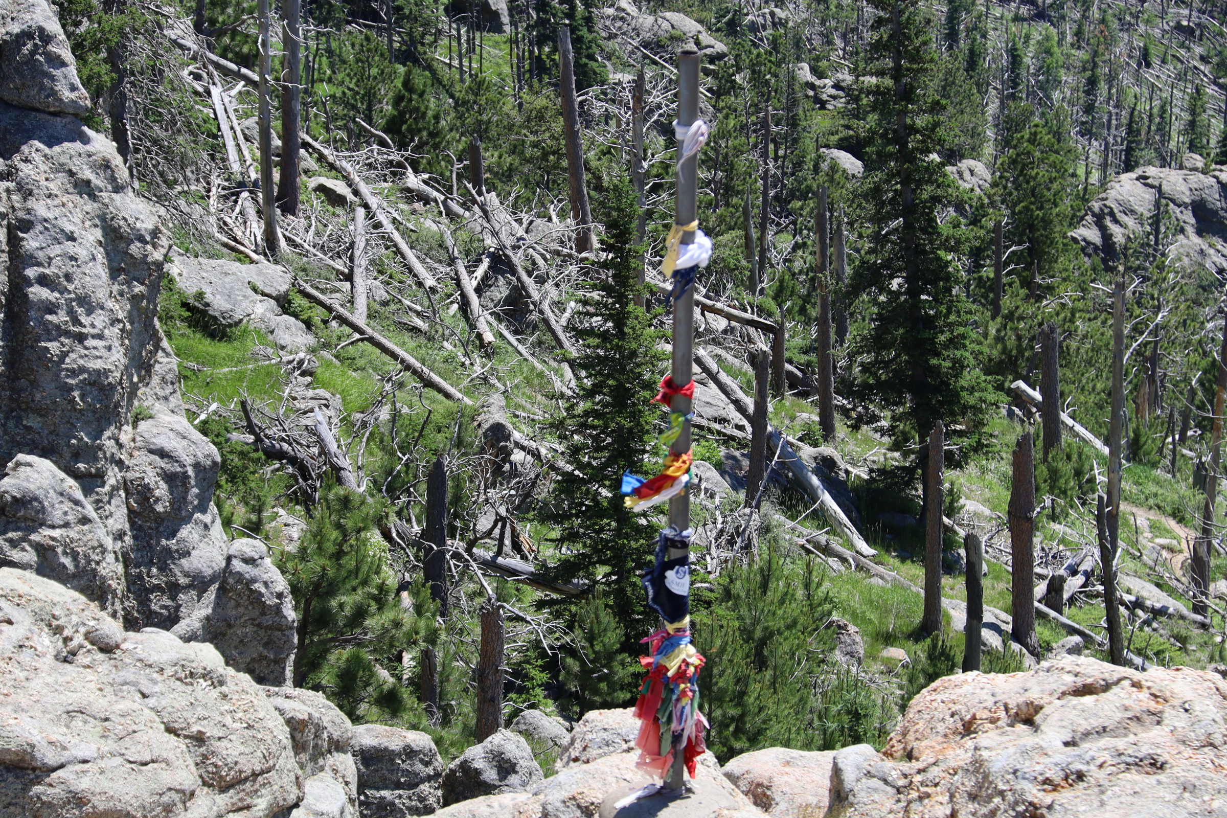 custer state park, south dakota.webp